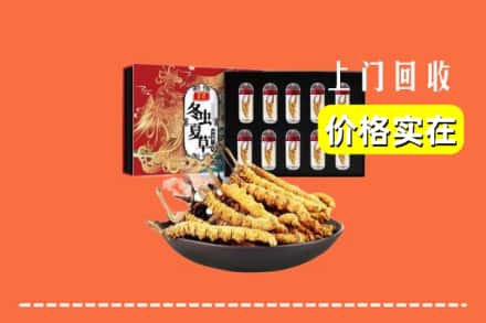 淮南市田家庵回收冬虫夏草